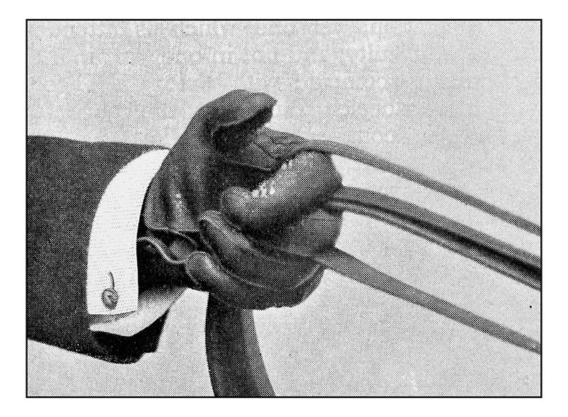 Die Zügel weitergeben