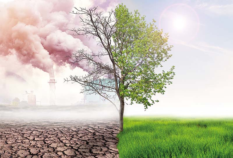 Bauen in Zeiten des Klimawandels